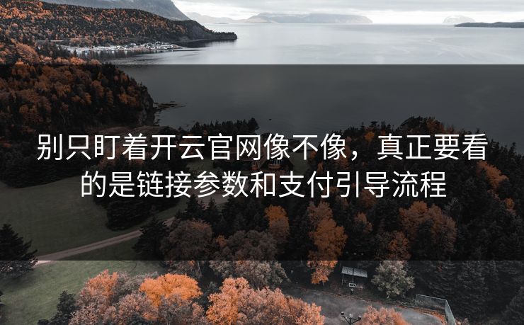 别只盯着开云官网像不像，真正要看的是链接参数和支付引导流程